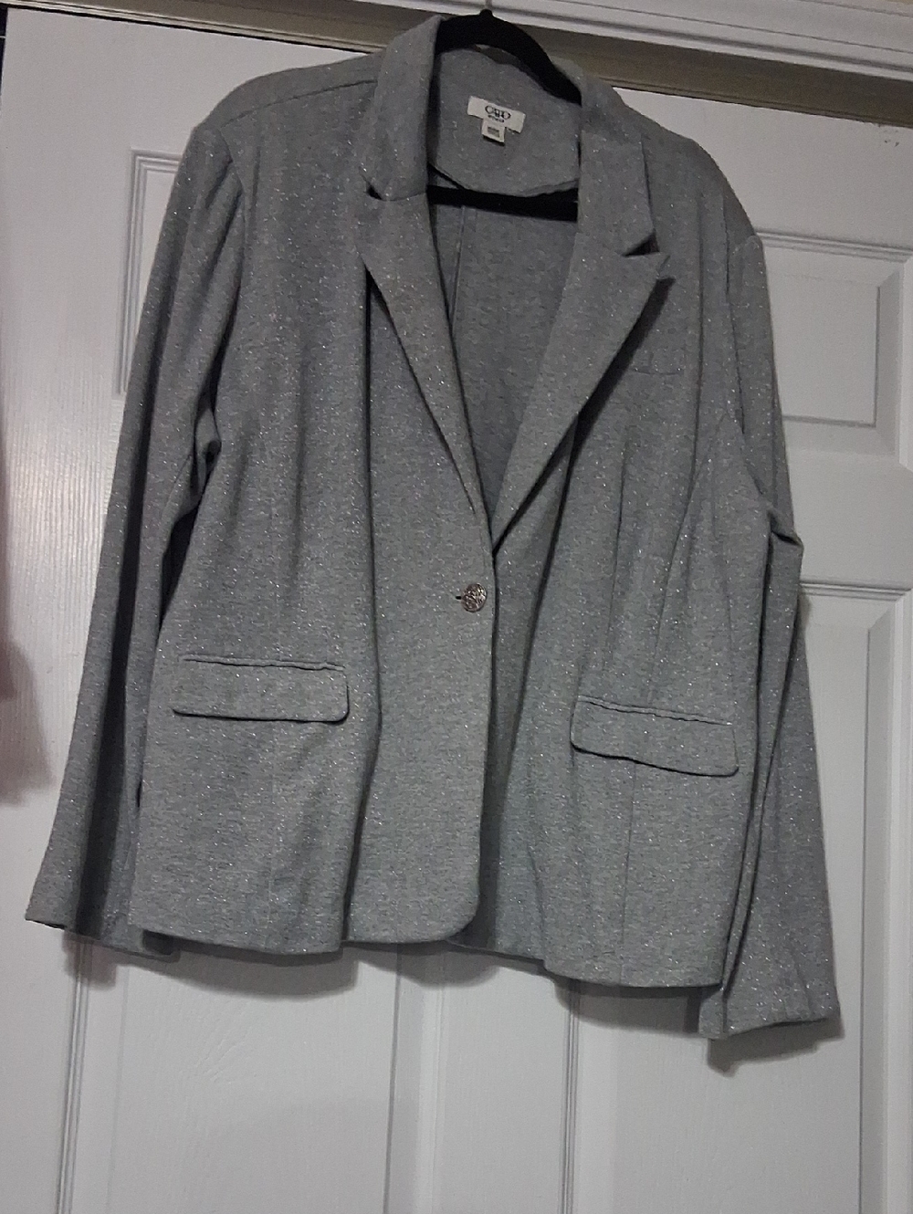 Cato Silver Sparkle Women's Blazer Jacket. Sz 26-28 $24